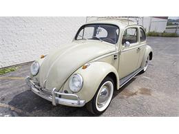 1964 Volkswagen Beetle (CC-899276) for sale in Auburn, Indiana