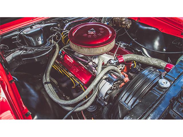 1967 Chevrolet Chevelle (CC-899595) for sale in Auburn, Indiana