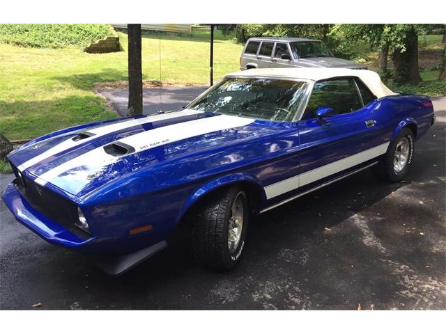 1973 Ford Mustang (CC-890969) for sale in indianapolis, Indiana