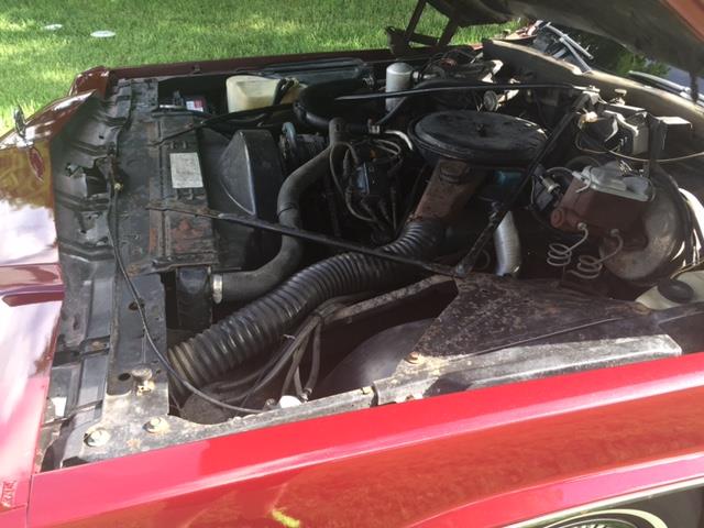 1977 Cadillac Fleetwood Brougham (CC-901318) for sale in Miami, Florida