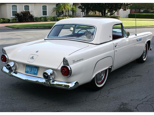 1955 Ford Thunderbird (CC-902352) for sale in Lakeland, Florida