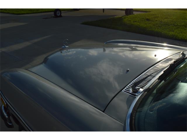 1970 Mercedes-Benz 250C (CC-902815) for sale in BOCA RATON, Florida
