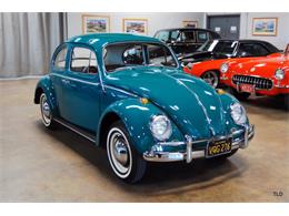 1964 Volkswagen Beetle (CC-905676) for sale in Chicago, Illinois