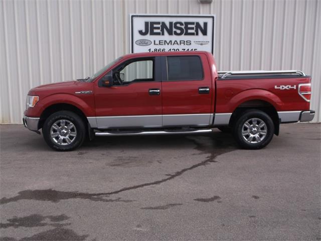 2010 Ford F150 (CC-905821) for sale in Sioux City, Iowa
