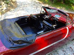 1950 Ford Convertible (CC-905845) for sale in Brevard, North Carolina
