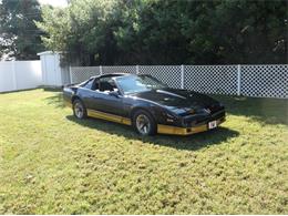 1984 Pontiac Trans Am Bandit (CC-905987) for sale in St. Petersburg  , Florida