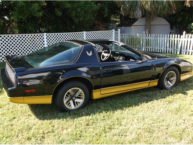 1984 Pontiac Trans Am Bandit (CC-905987) for sale in St. Petersburg  , Florida