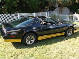 1984 Pontiac Trans Am Bandit (CC-905987) for sale in St. Petersburg  , Florida