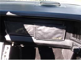 1984 Pontiac Trans Am Bandit (CC-905987) for sale in St. Petersburg  , Florida