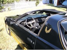 1984 Pontiac Trans Am Bandit (CC-905987) for sale in St. Petersburg  , Florida