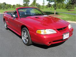 1996 Ford Mustang Cobra (CC-906685) for sale in Shaker Heights, Ohio