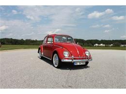 1965 Volkswagen Beetle (CC-907960) for sale in Raleigh, North Carolina