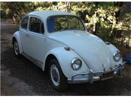 1967 Volkswagen Beetle (CC-908416) for sale in kelseyville, California