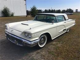 1958 Ford Thunderbird (CC-909835) for sale in Annandale, Minnesota