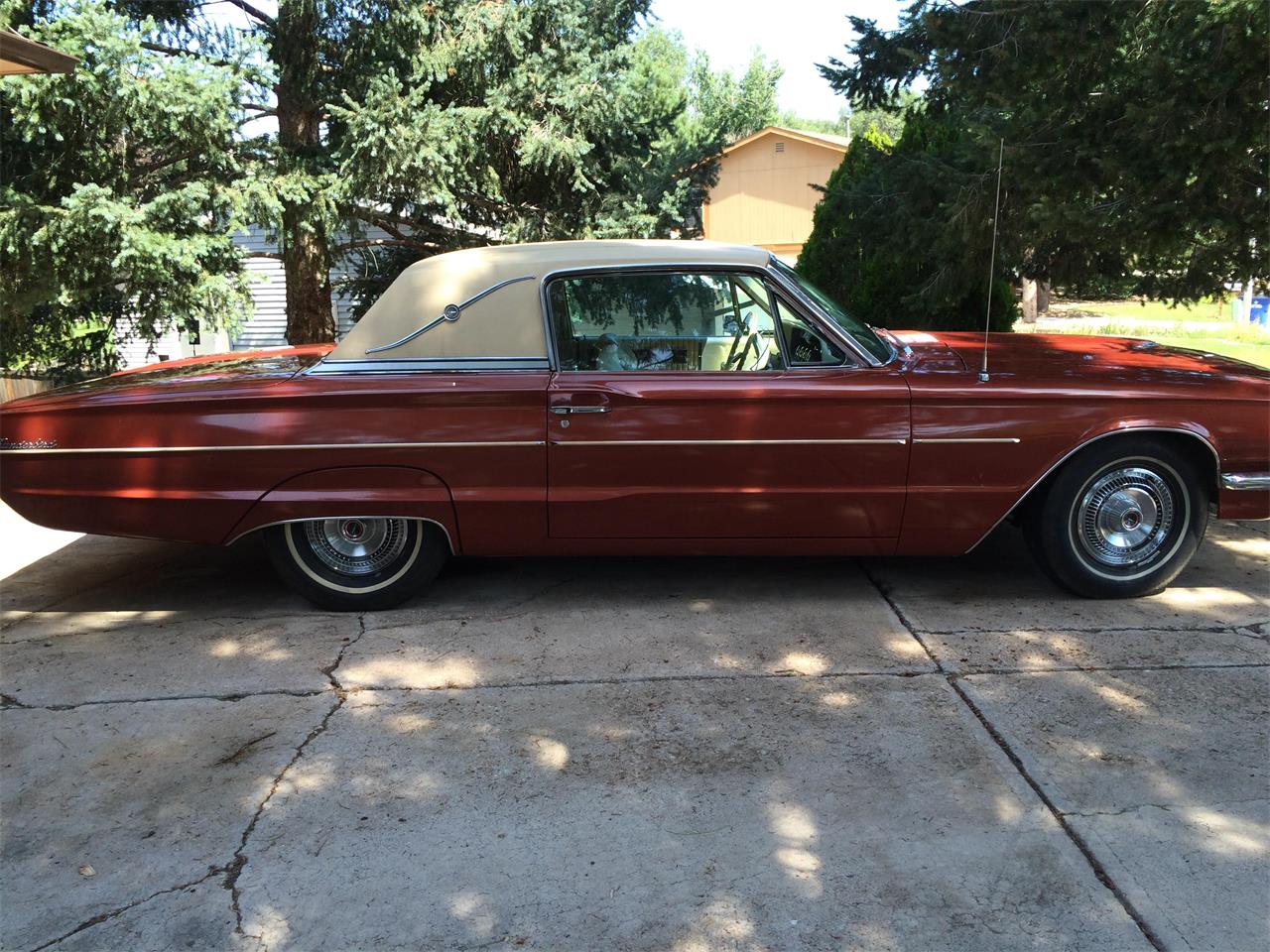 old ford thunderbird for sale