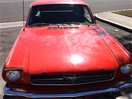 1965 Ford Mustang (CC-911060) for sale in Los Alamitos , California