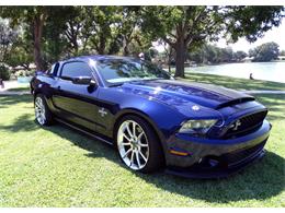 2010 Shelby GT500 Super Snake (CC-911373) for sale in Dallas, Texas