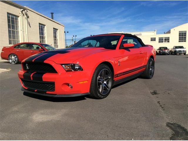 2010 Ford Mustang Shelby GT500 (CC-912066) for sale in Greensboro, North Carolina