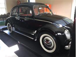1962 Volkswagen Beetle (CC-912319) for sale in Greensboro, North Carolina