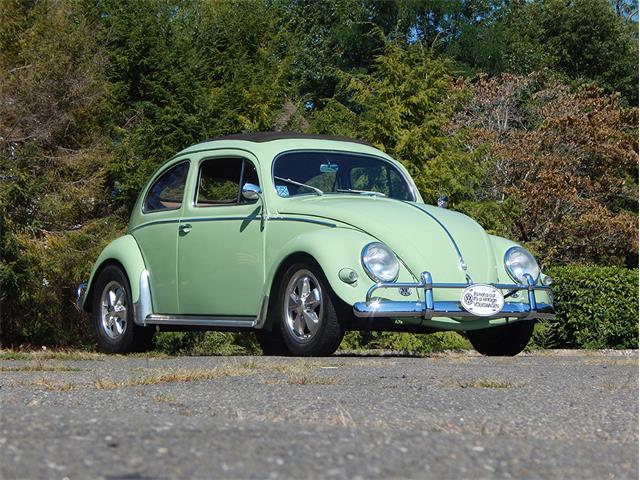 1956 Volkswagen Beetle (CC-913076) for sale in Westport, Connecticut