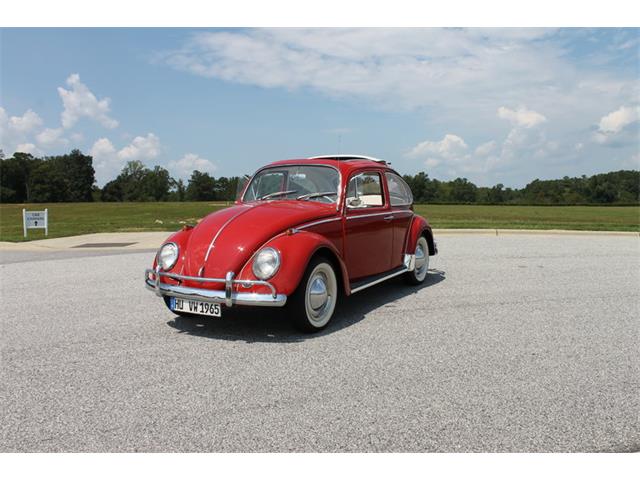 1965 Volkswagen Beetle (CC-913542) for sale in Greensboro, North Carolina