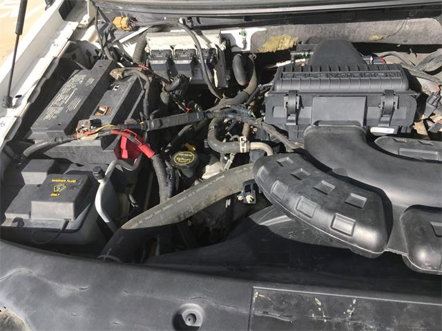 2004 Ford F150 (CC-913632) for sale in Arvada, Colorado