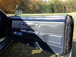 1981 GMC Caballero (CC-914425) for sale in Saugerties, New York