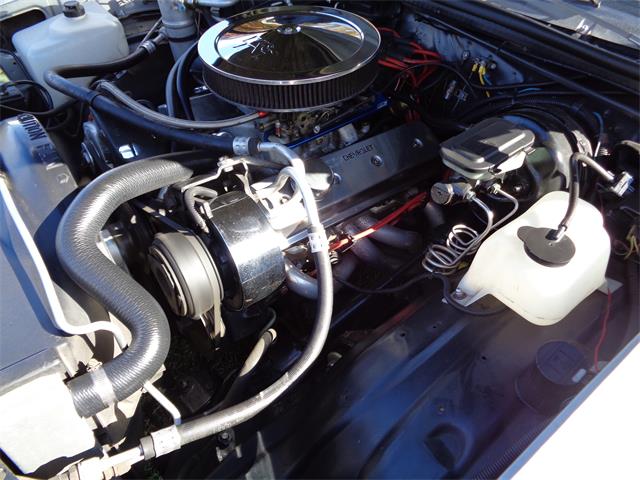 1981 GMC Caballero (CC-914425) for sale in Saugerties, New York