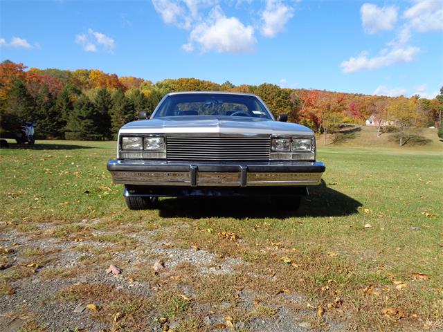 1981 GMC Caballero (CC-914425) for sale in Saugerties, New York