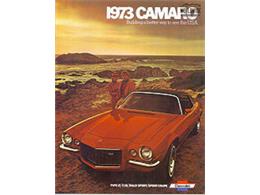 1973 Chevrolet Camaro (CC-915660) for sale in Denver , Colorado