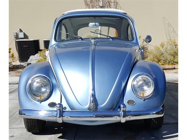 1963 Volkswagen Beetle (CC-910791) for sale in Reno, Nevada