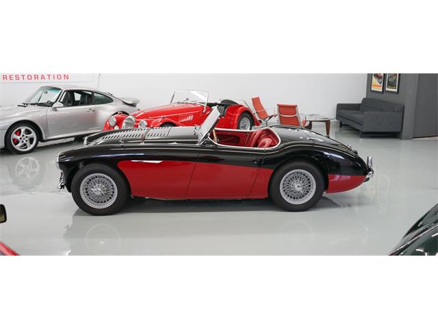 1956 Austin-Healey 100M (CC-918297) for sale in Englewood, Colorado