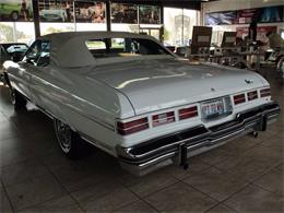 1975 Chevrolet Caprice (CC-919439) for sale in St. Charles, Illinois