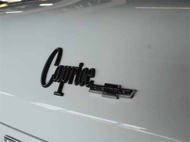 1975 Chevrolet Caprice (CC-919439) for sale in St. Charles, Illinois