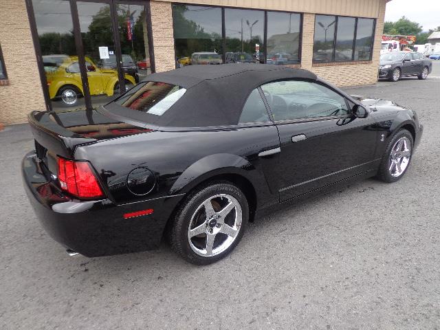 2003 Ford Mustang Cobra (CC-910981) for sale in MILL HALL, Pennsylvania