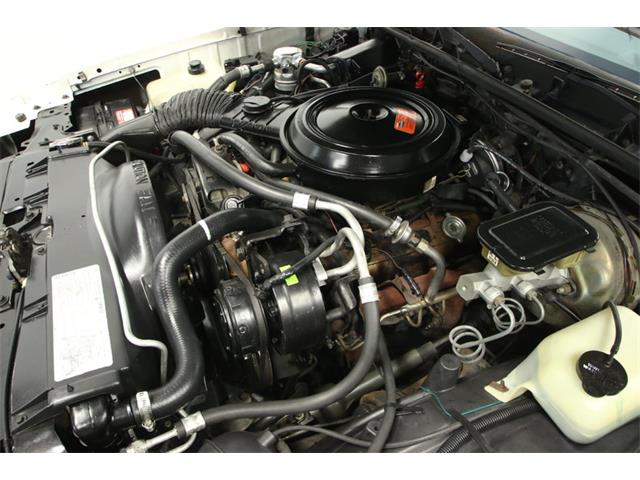 1984 Chevrolet Monte Carlo SS (CC-919930) for sale in Lutz, Florida