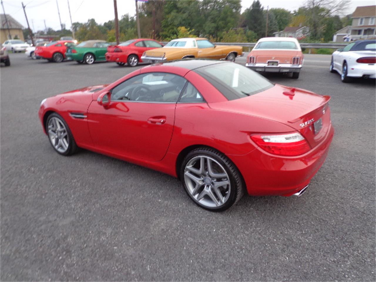 2014 Mercedes-Benz SLK250 for Sale | ClassicCars.com | CC-910996