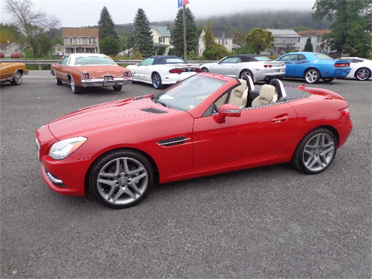 2014 Mercedes-Benz SLK250 for Sale | ClassicCars.com | CC-910996