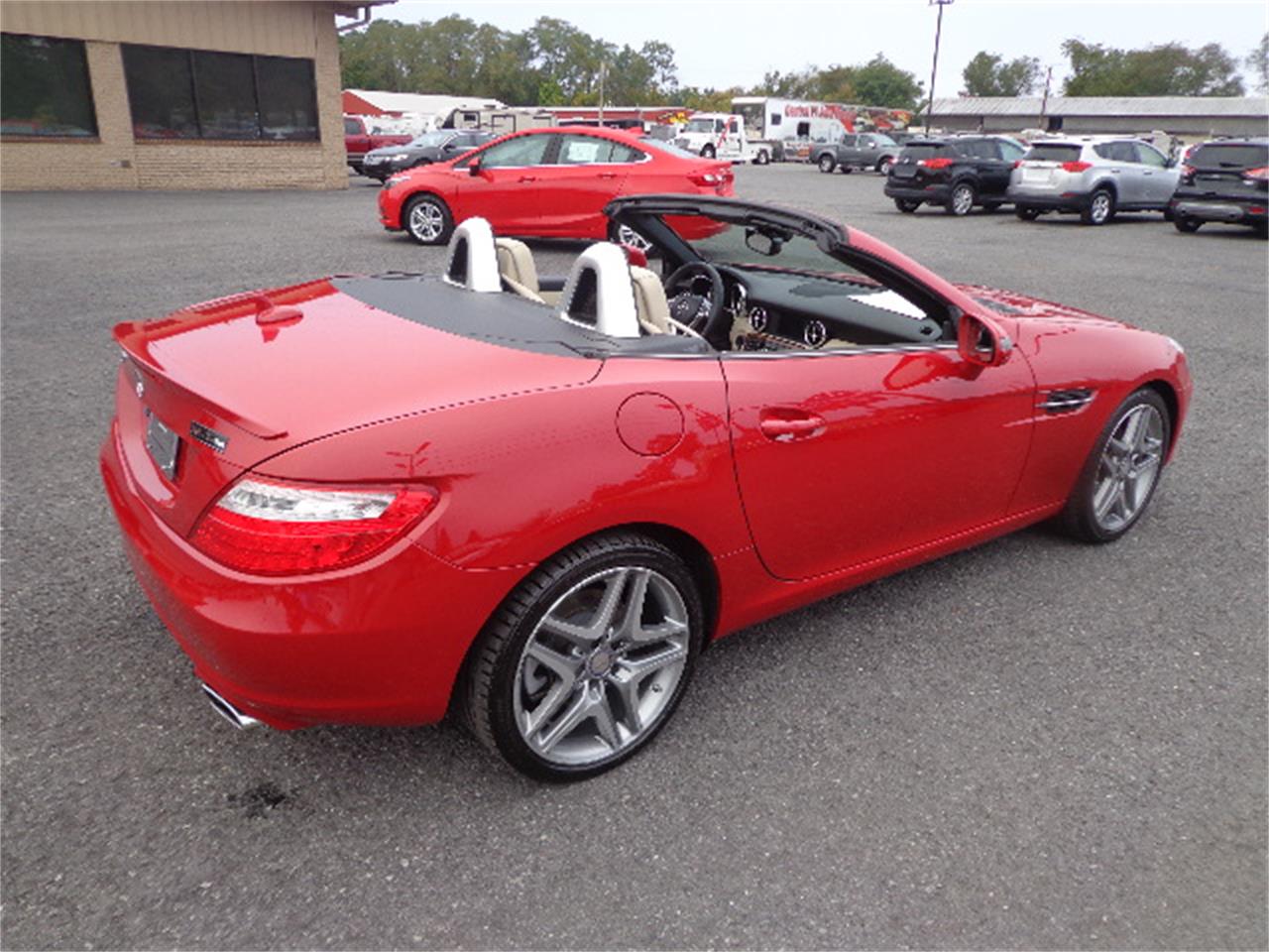 2014 Mercedes-Benz SLK250 for Sale | ClassicCars.com | CC-910996