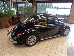 1966 Volkswagen BEETLE  (CC-921269) for sale in MILLHALL, Pennsylvania
