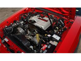 1993 Ford Mustang SVT Cobra R (CC-921536) for sale in Kissimmee, Florida