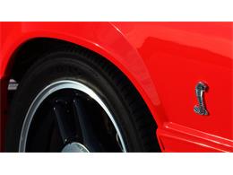 1993 Ford Mustang SVT Cobra R (CC-921536) for sale in Kissimmee, Florida