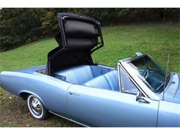 1967 Pontiac Tempest  (CC-922380) for sale in Pittsburgh, Pa.