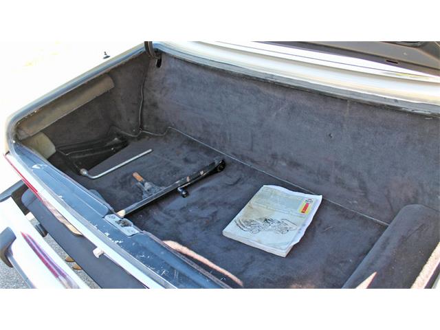 1980 Mercedes-Benz 450SL (CC-922889) for sale in Kissimmee, Florida