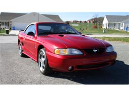 1996 Ford Mustang Cobra (CC-923150) for sale in Kissimmee, Florida