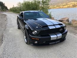 2007 Shelby GT500 (CC-920355) for sale in Lake Country , B.C.