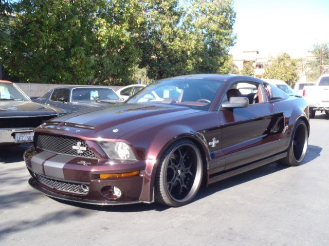 2008 Shelby GT500 (CC-924038) for sale in Thousand Oaks, California