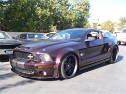 2008 Shelby GT500 (CC-924038) for sale in Thousand Oaks, California