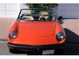 1979 Alfa Romeo Spider (CC-925546) for sale in Costa Mesa, California