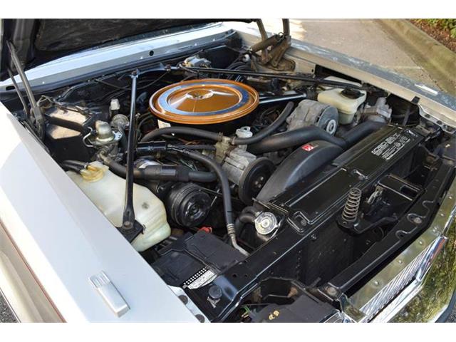 1976 Cadillac Seville (CC-925642) for sale in Orlando, Florida